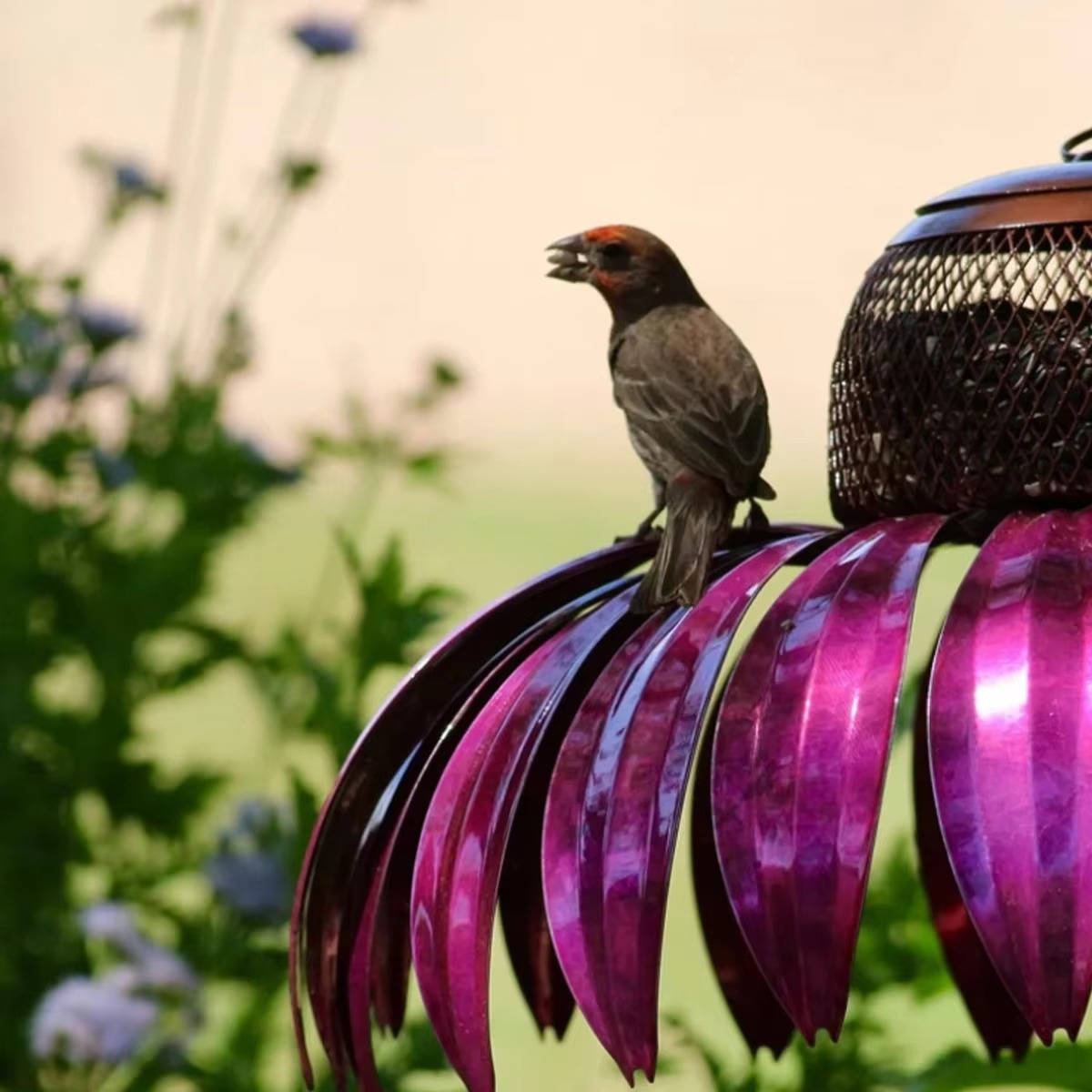 Vibrant Bloom Bird Feeder for Your Garden