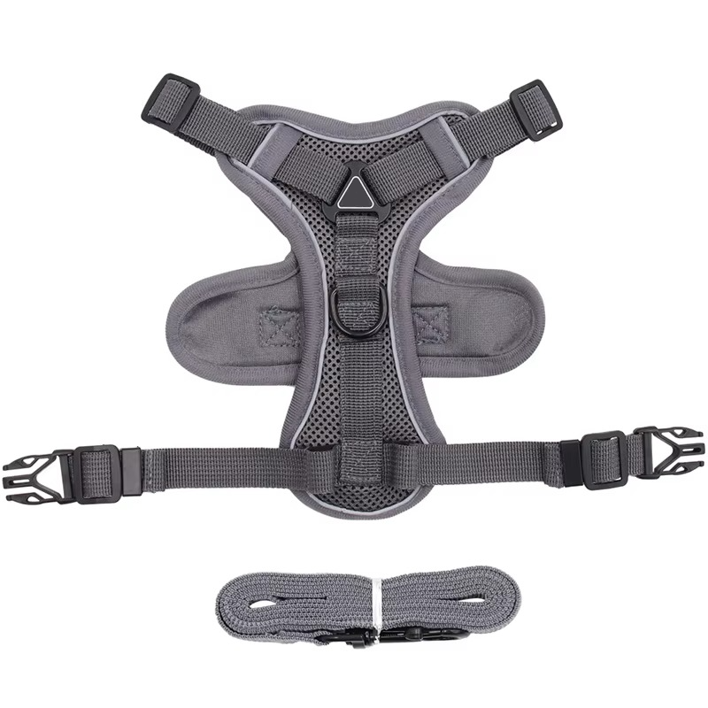 Comfort Fit Cat Harness and Leash Combo