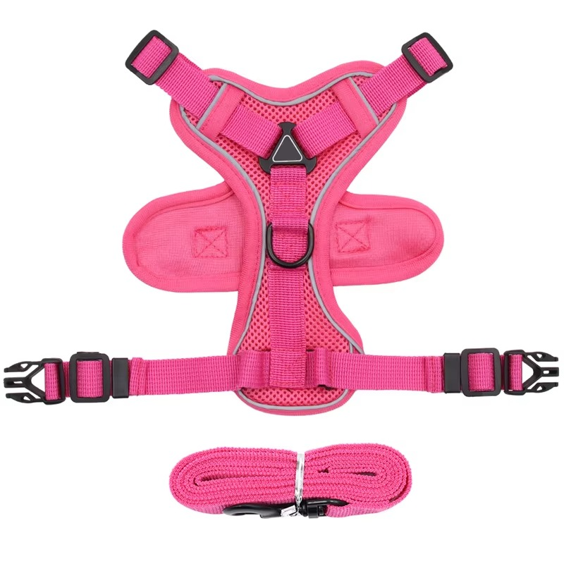 Comfort Fit Cat Harness and Leash Combo