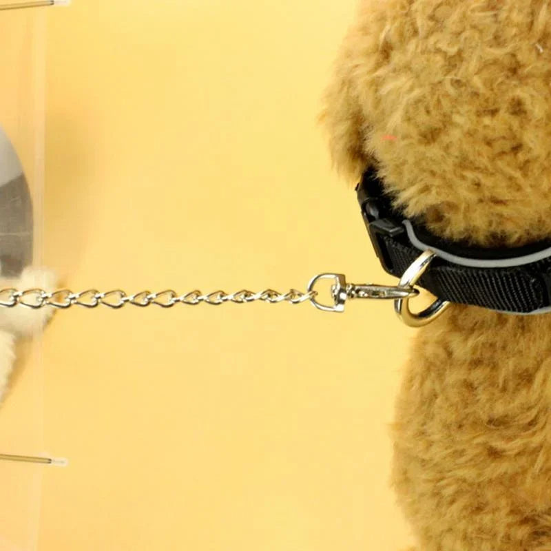 Small Dog Rain Shield with Leash Attachment