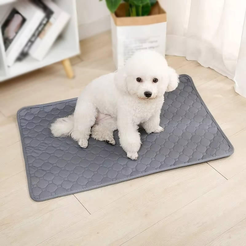 Ultimate Pet Training Pads: Disposable & Washable