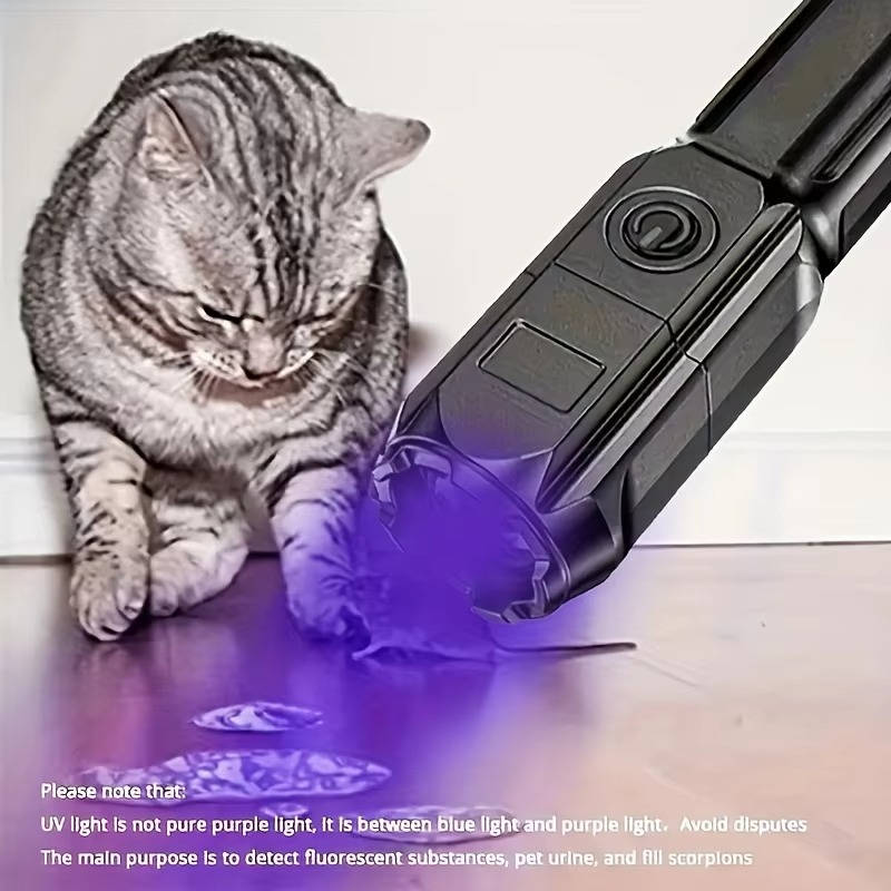 Portable Rechargeable UV Light with Adjustable Focus