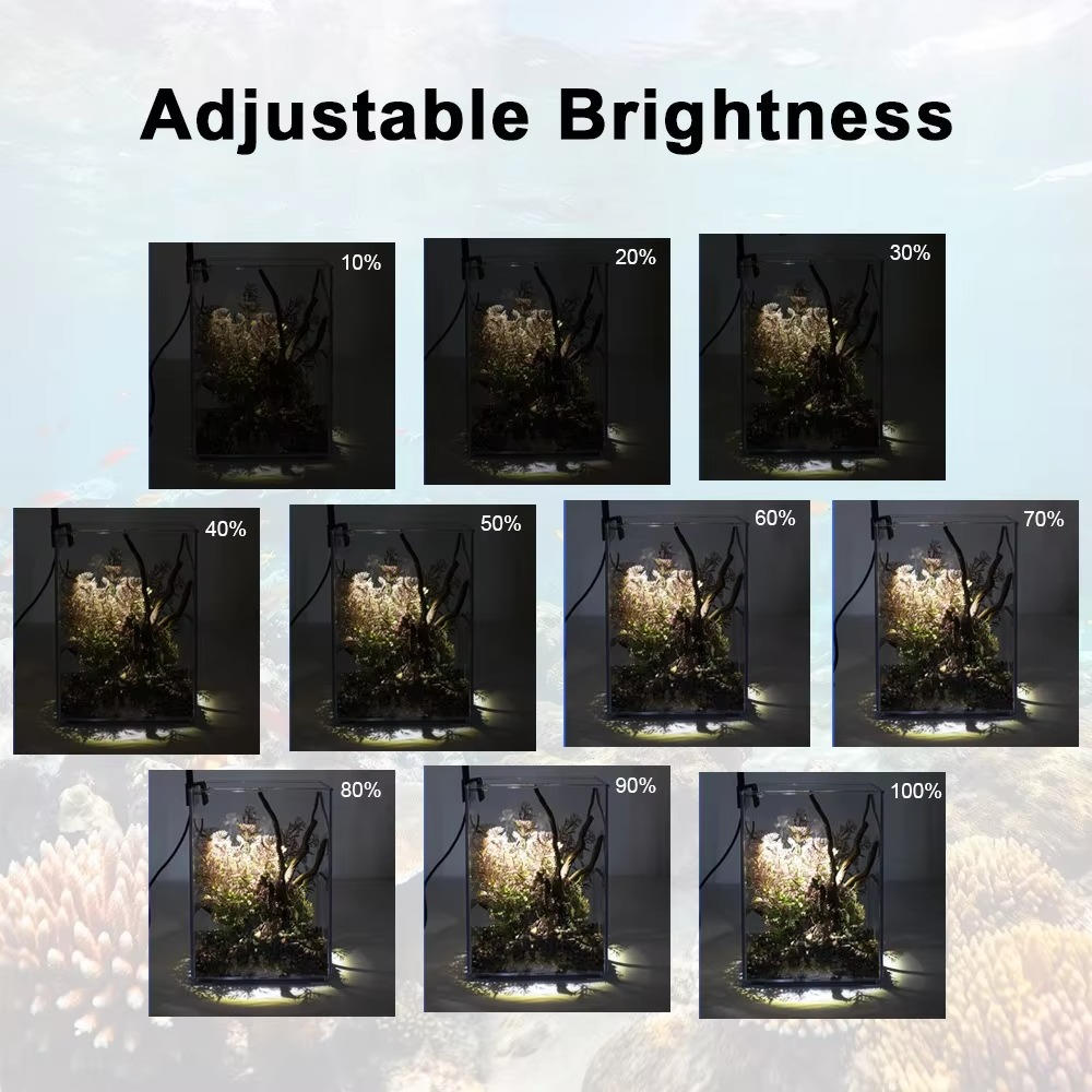 Aquarium Glow LED Lighting System
