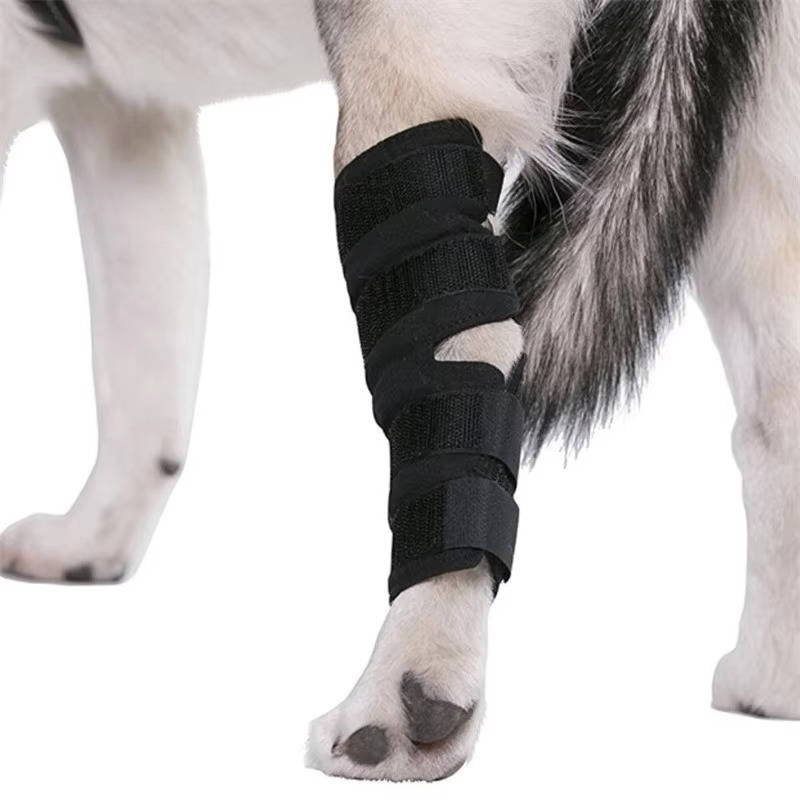 Canine Comfort Brace for Joint Support