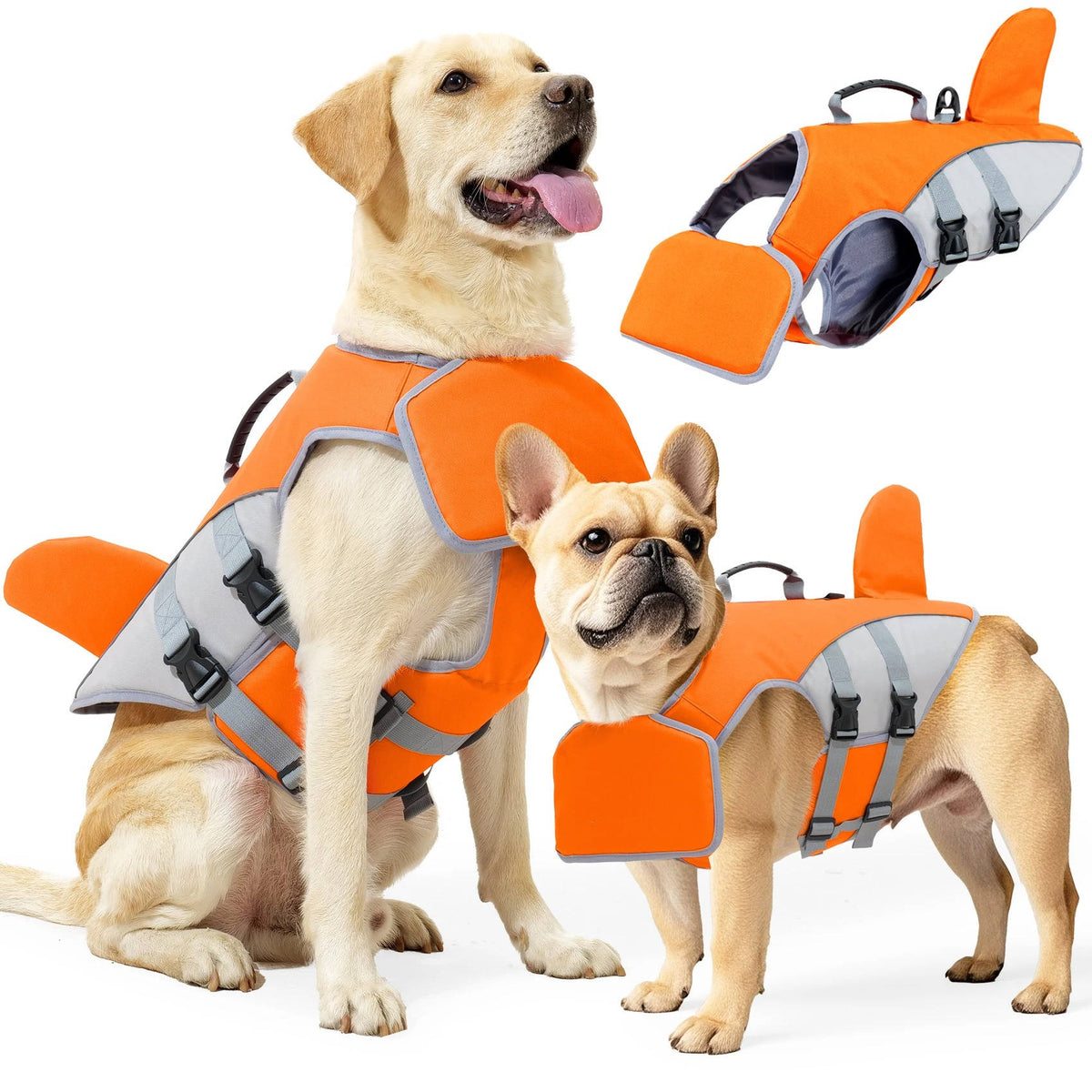 Paw Floatation Vest for Confident Swimmers