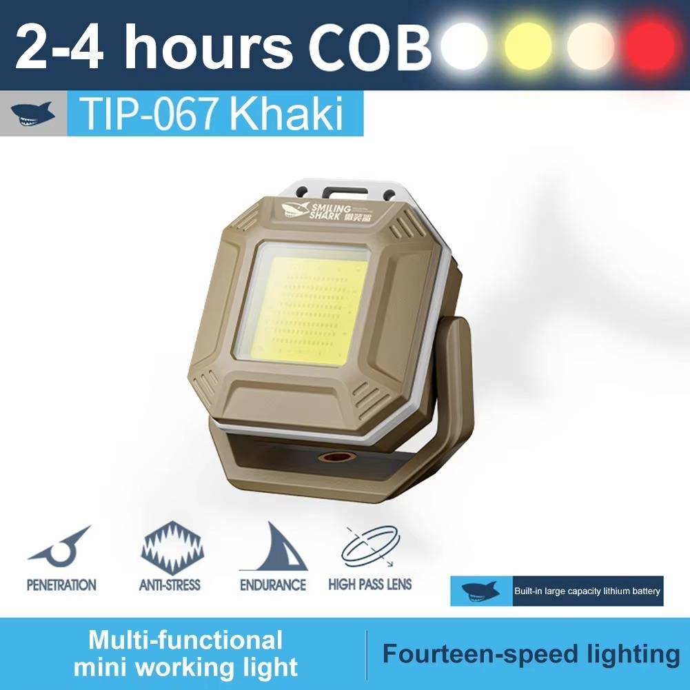 Versatile Vehicle Emergency Light System