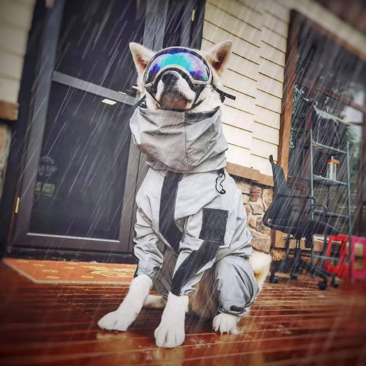 Ultimate Waterproof Rain Jacket for Dogs