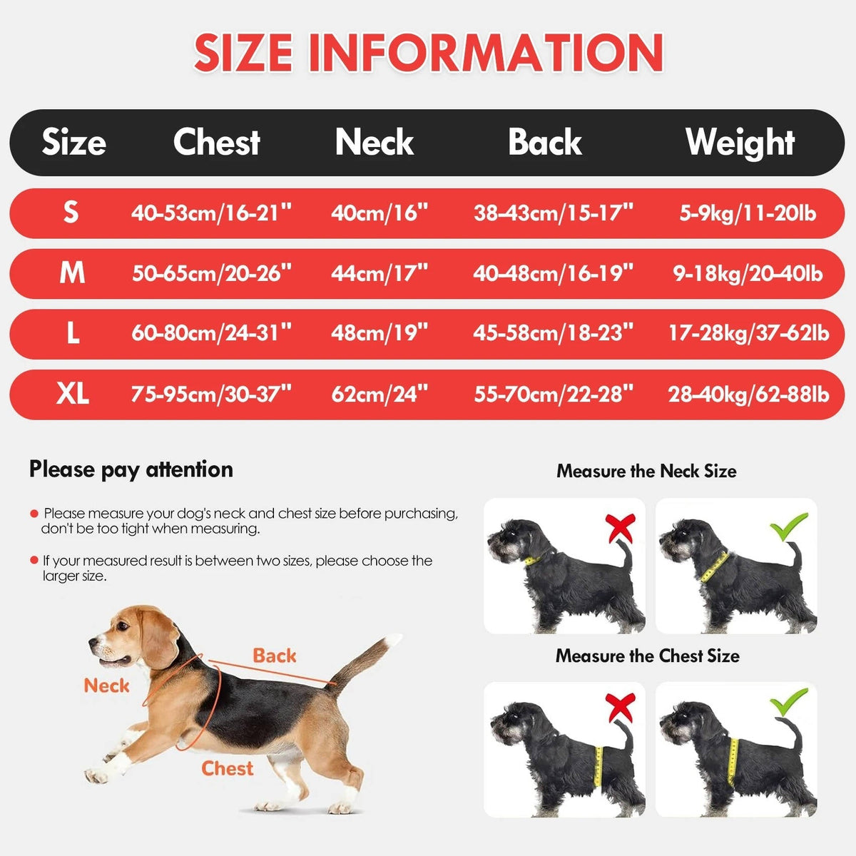 Paw Floatation Vest for Confident Swimmers