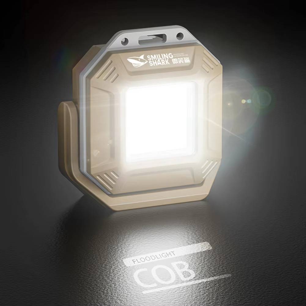 Versatile Vehicle Emergency Light System