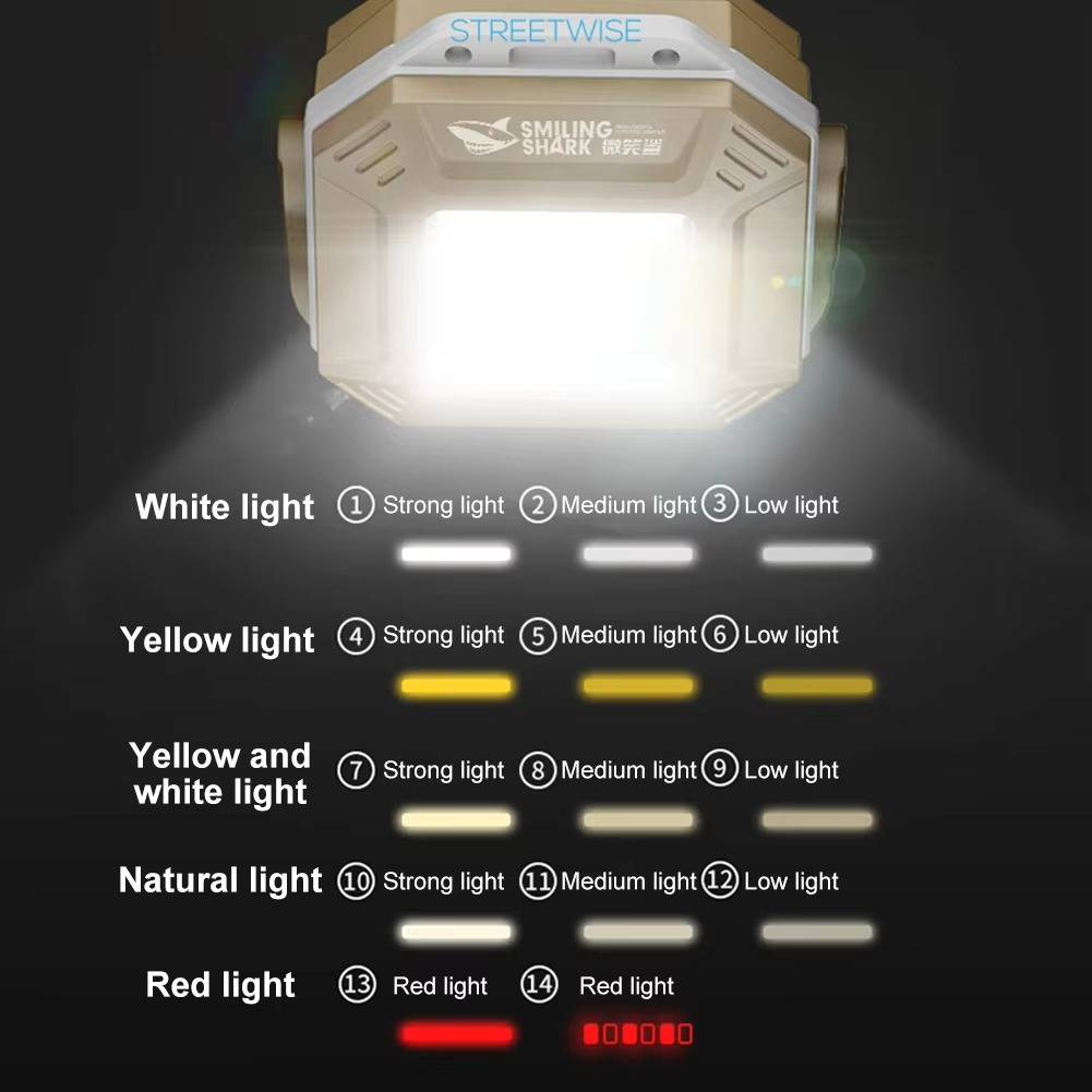 Versatile Vehicle Emergency Light System