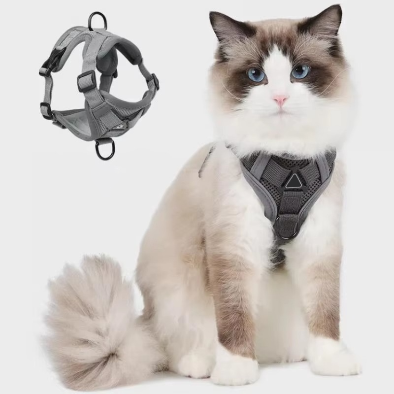 Comfort Fit Cat Harness and Leash Combo