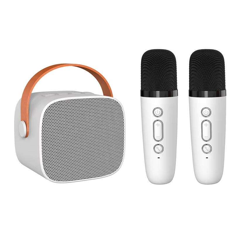 Compact Karaoke System with Dual Wireless Microphones