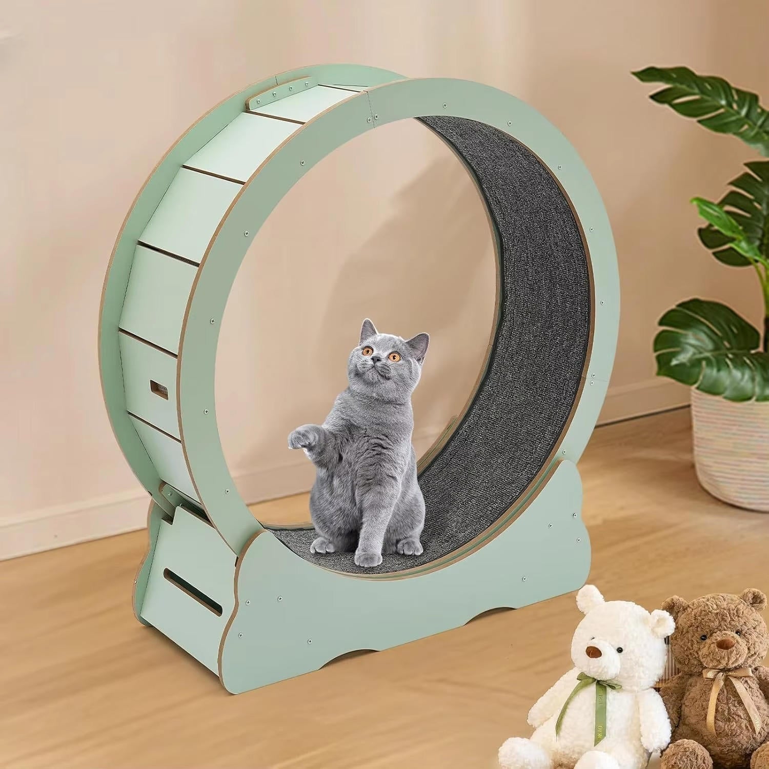 Purrfect Motion Cat Fitness Wheel