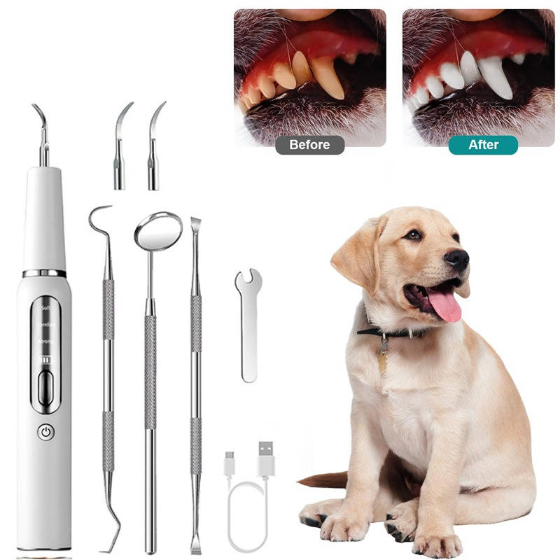 Gentle Home Dental Care Tool for Dogs