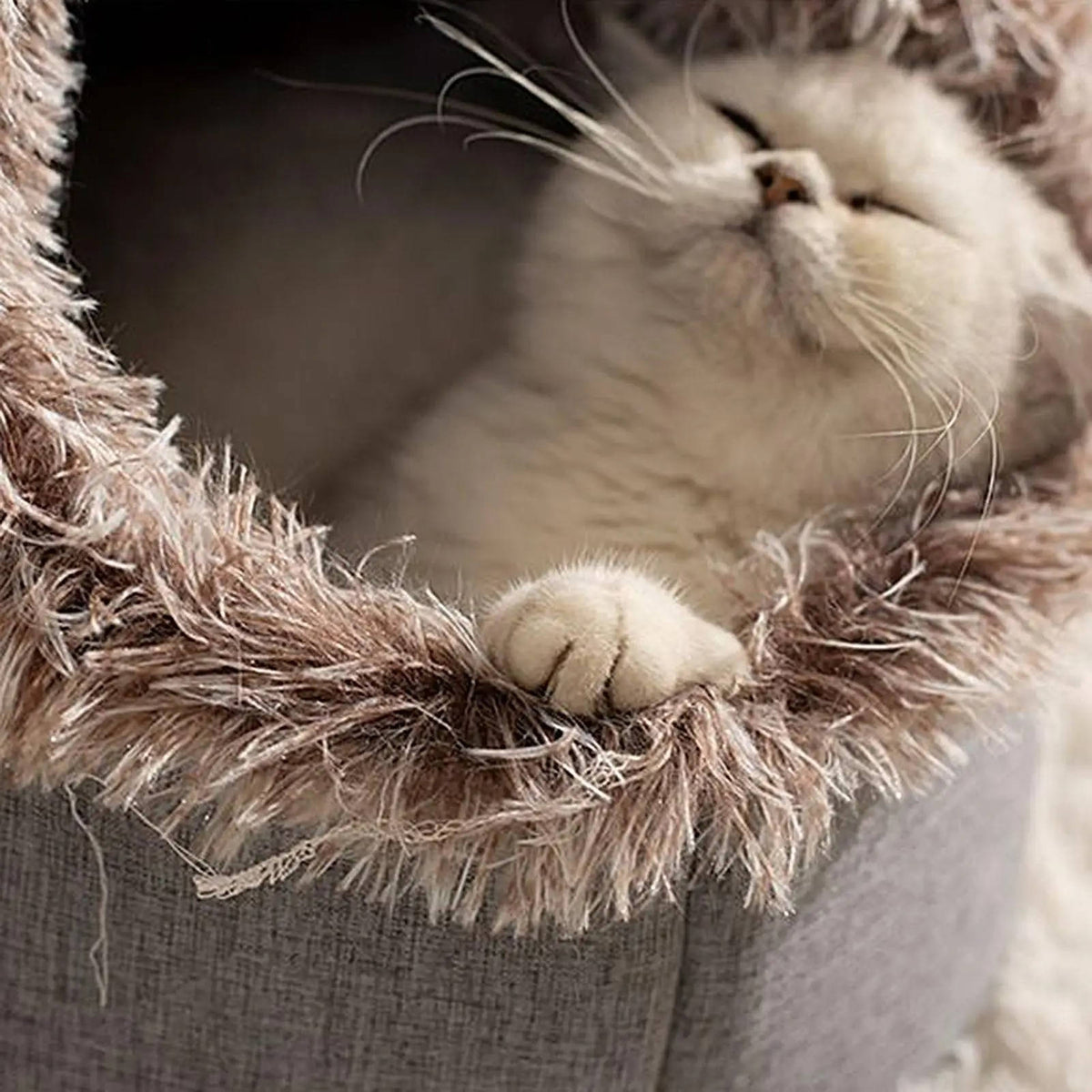 Cozy Retreat Cat Bed for Winter Comfort