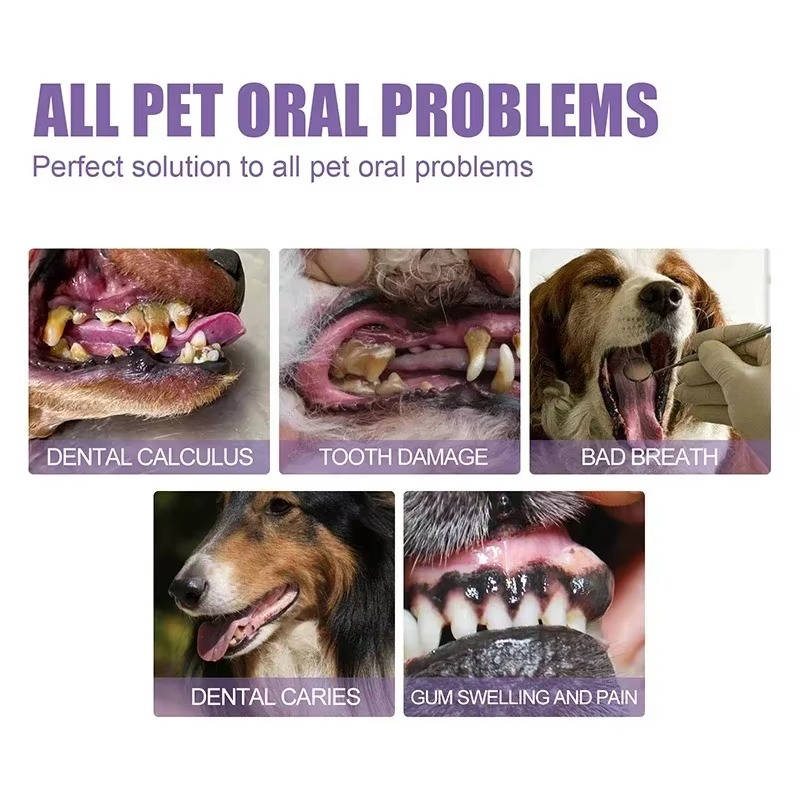 Triple Pack Canine Dental Care Gel