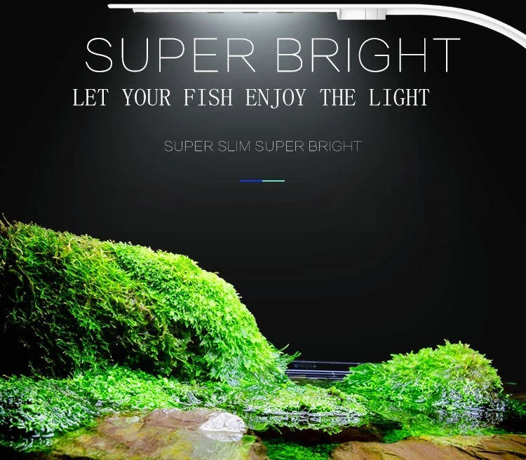 Ultra-Slim LED Aquarium Light for Vibrant Aquatic Life