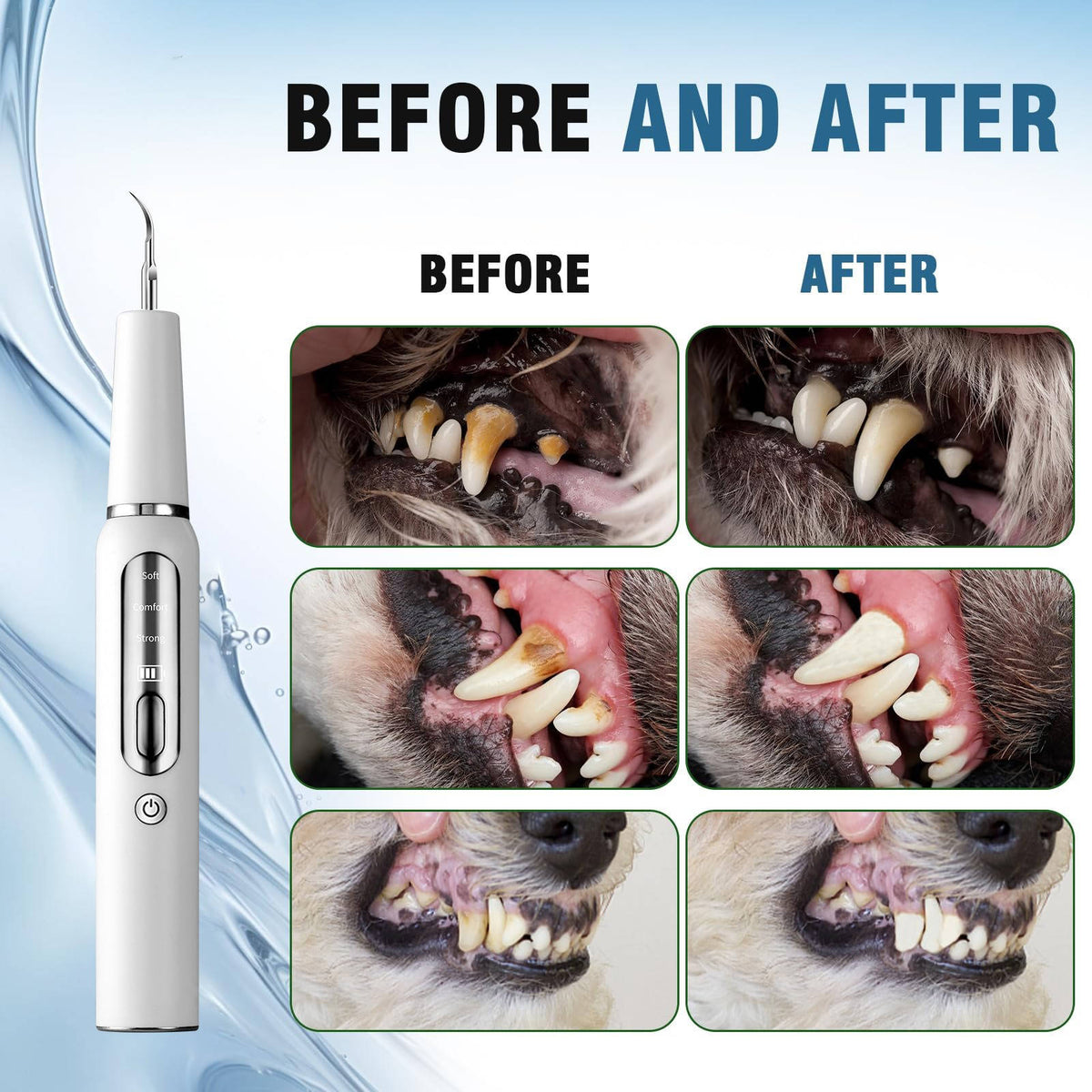 Gentle Home Dental Care Tool for Dogs