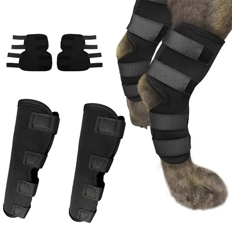 Canine Comfort Brace for Joint Support