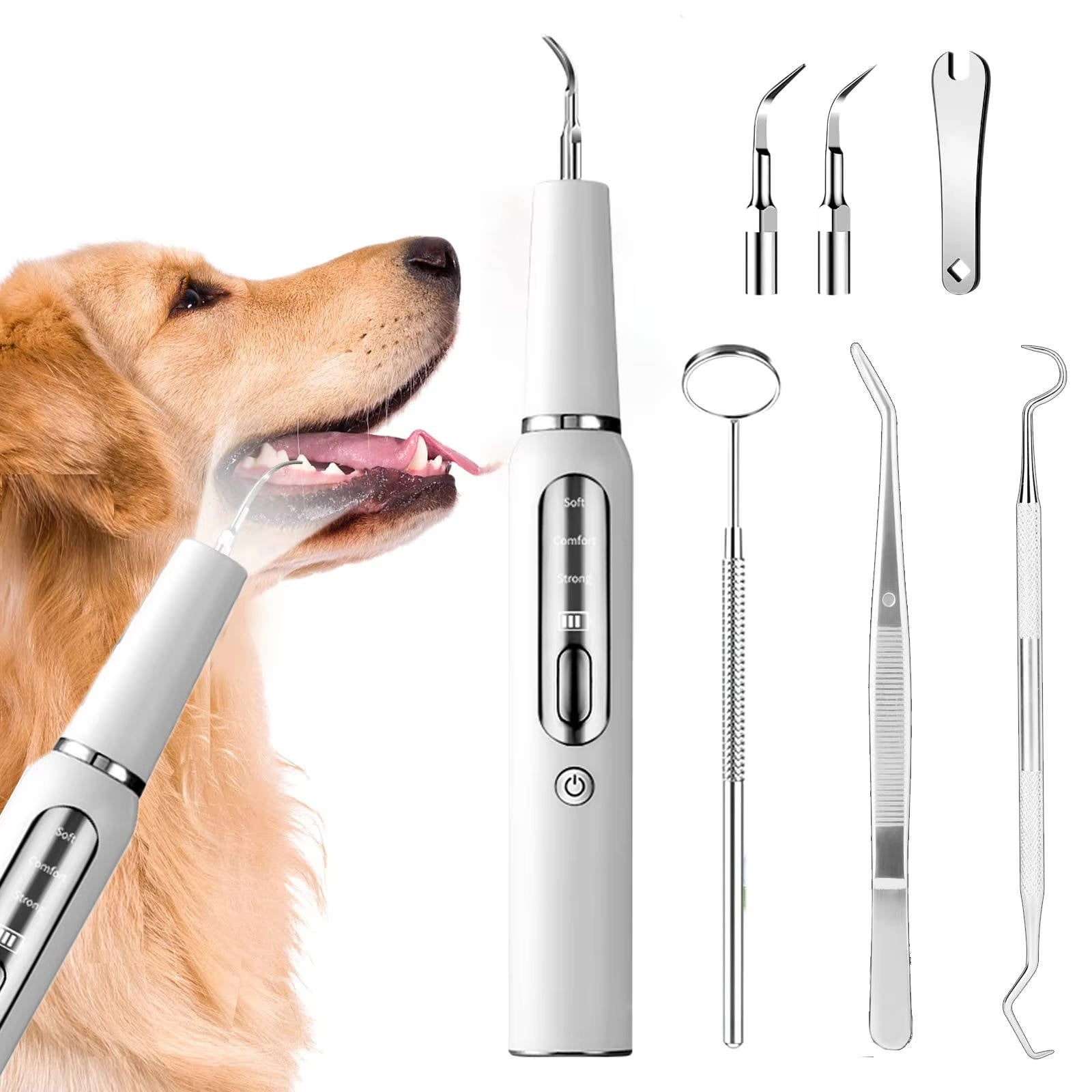 Gentle Home Dental Care Tool for Dogs