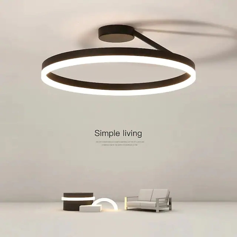 Contemporary LED Ceiling Light Fixture