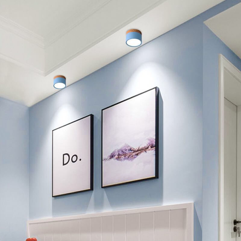 Modern LED Ceiling Light in Morandi Style
