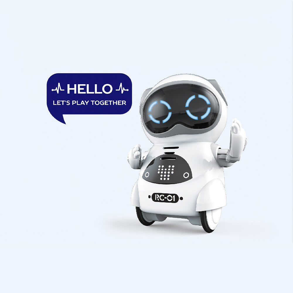 Mini Interactive Robot Companion