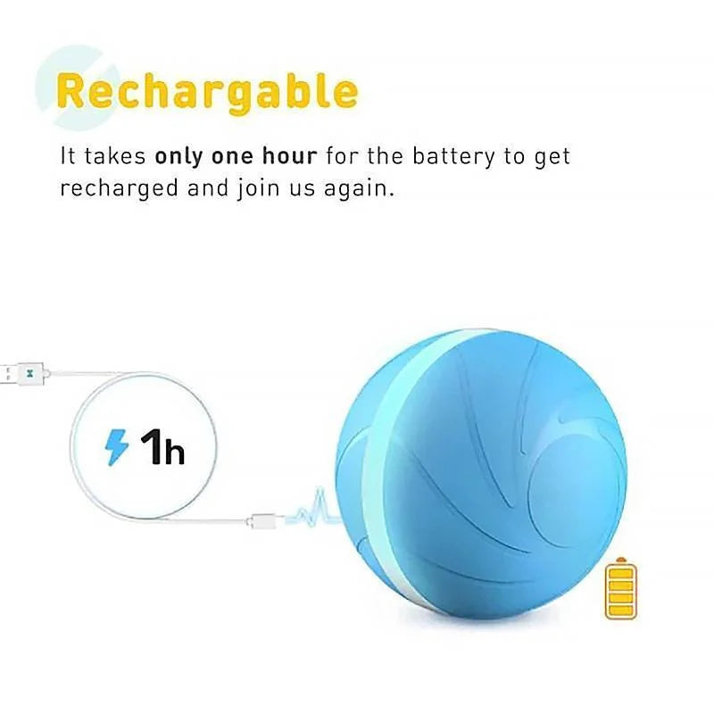 Interactive Pet Play Sphere for Endless Fun