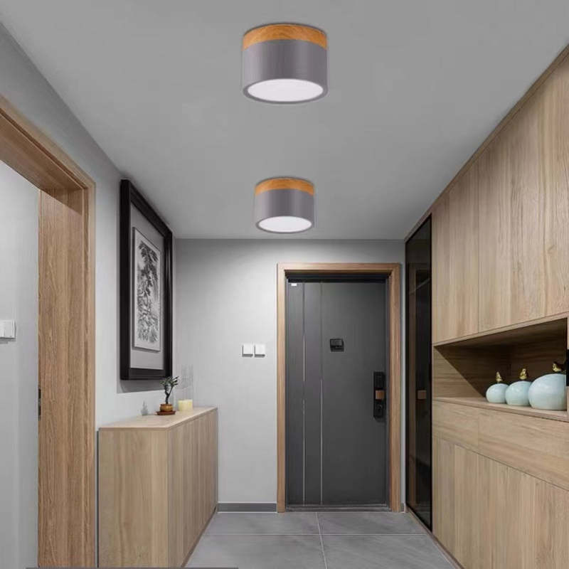 Modern LED Ceiling Light in Morandi Style