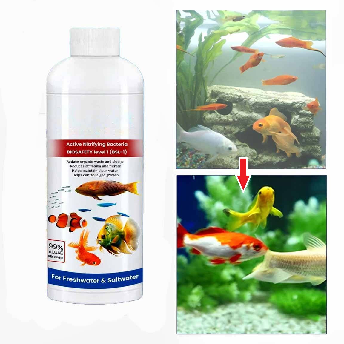 Triple Pack Aquarium Purifier Solution