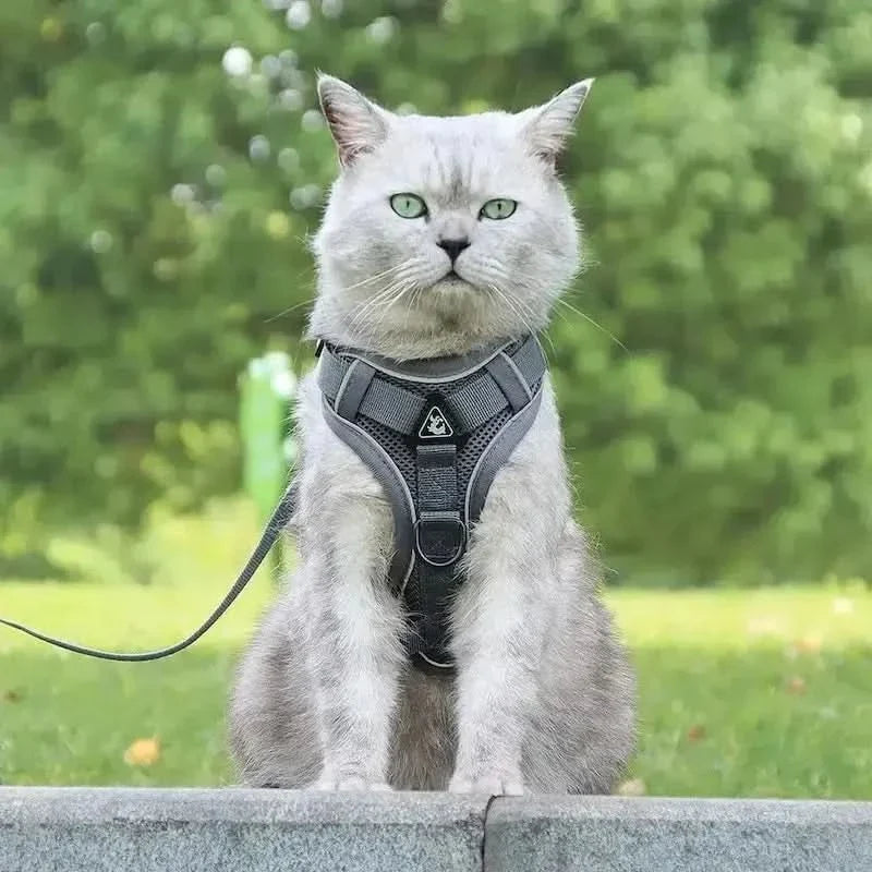 PawGuard – Ergonomic Y-Design Cat Harness