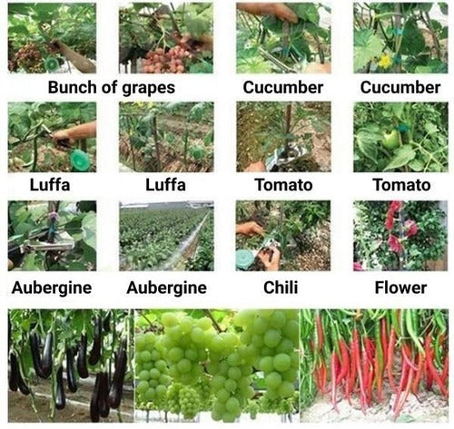 Effortless Garden Support Tool for Climbing Plants
