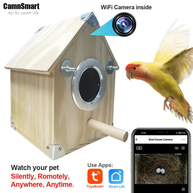 SmartNest Birdwatching Camera with Remote Access