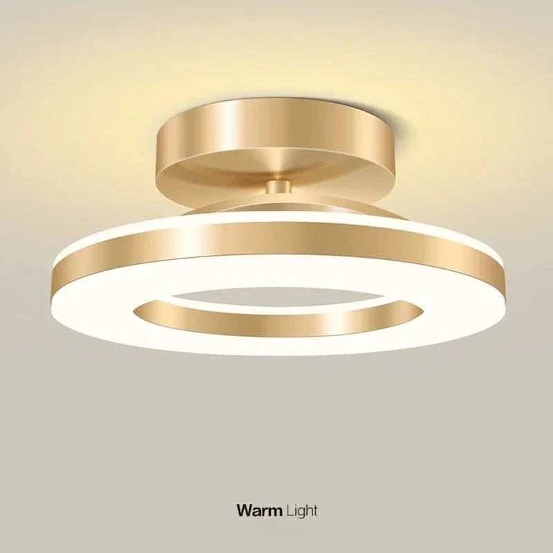 Versatile Round LED Ceiling Light with Adjustable Brightness
