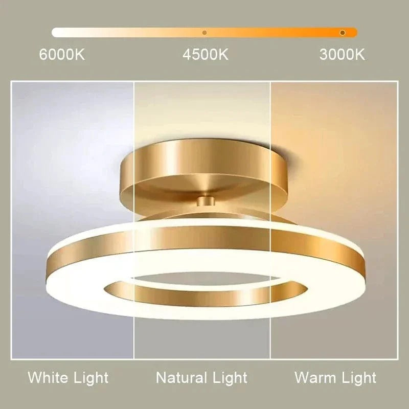 Versatile Round LED Ceiling Light with Adjustable Brightness