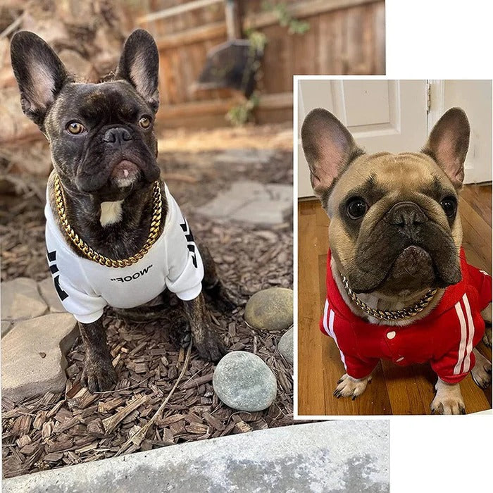 Ultimate Durable Collar for Strong Dogs