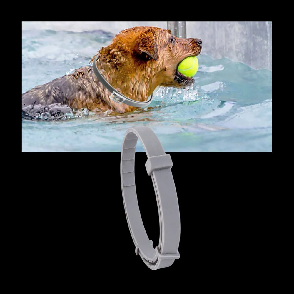 Pest Defense Pet Collar for Dogs and Cats