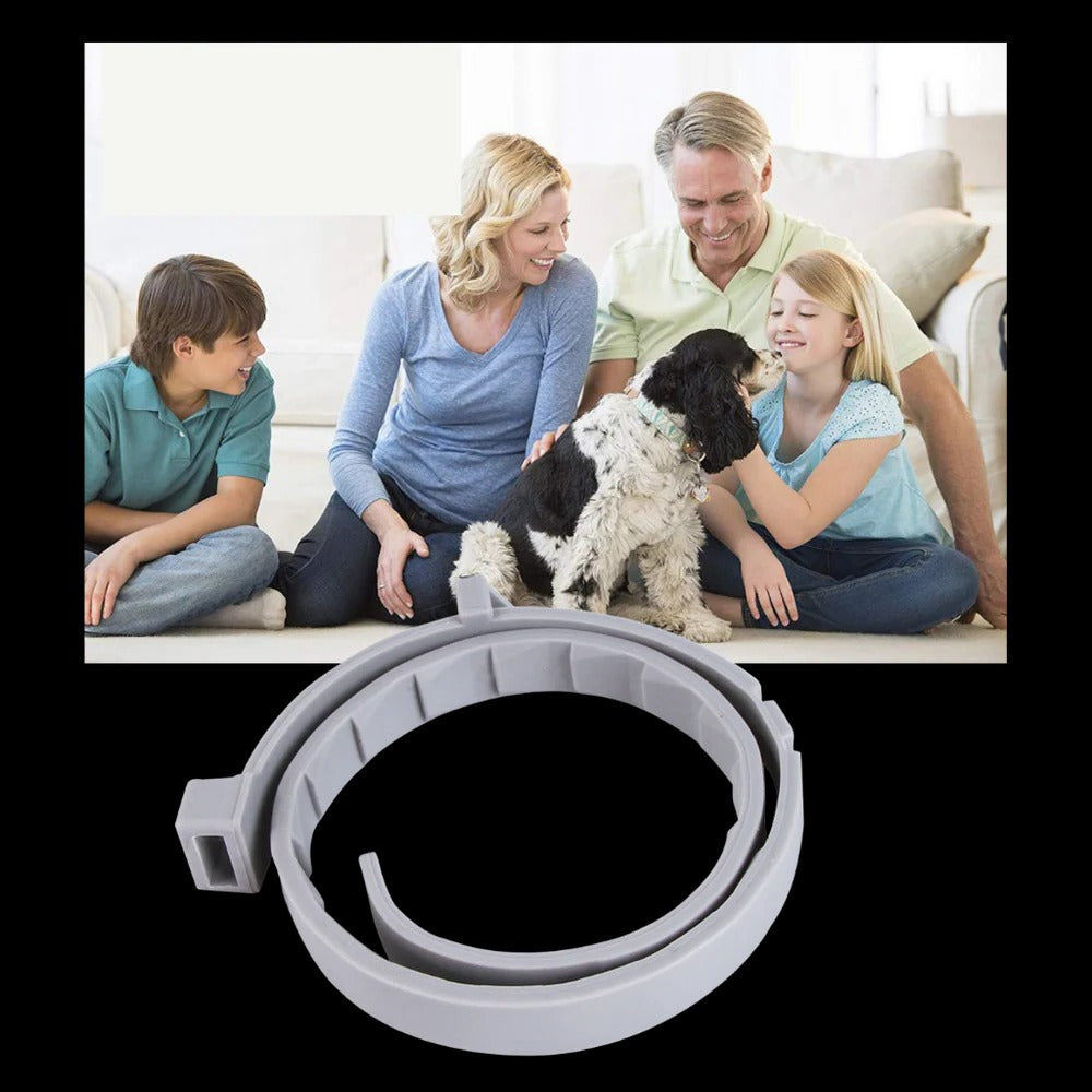 Pest Defense Pet Collar for Dogs and Cats