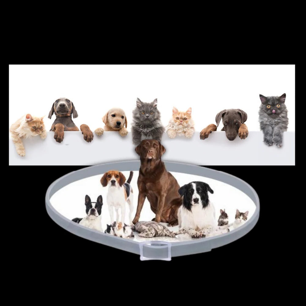 Pest Defense Pet Collar for Dogs and Cats