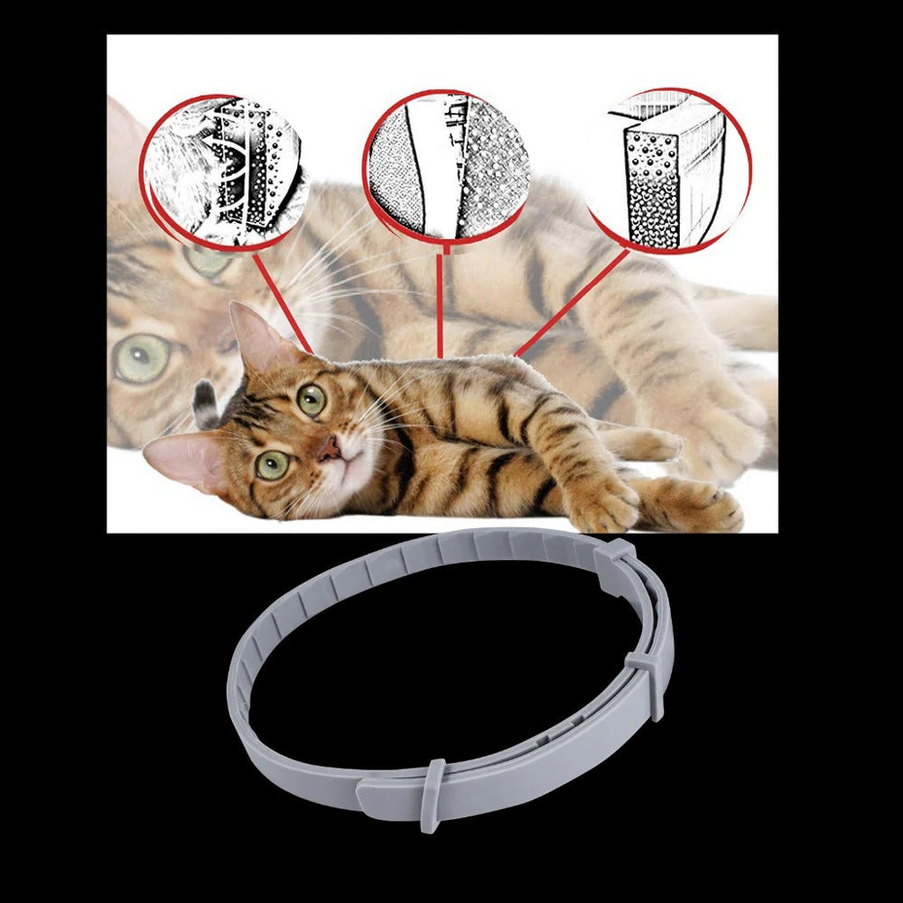 Pest Defense Pet Collar for Dogs and Cats