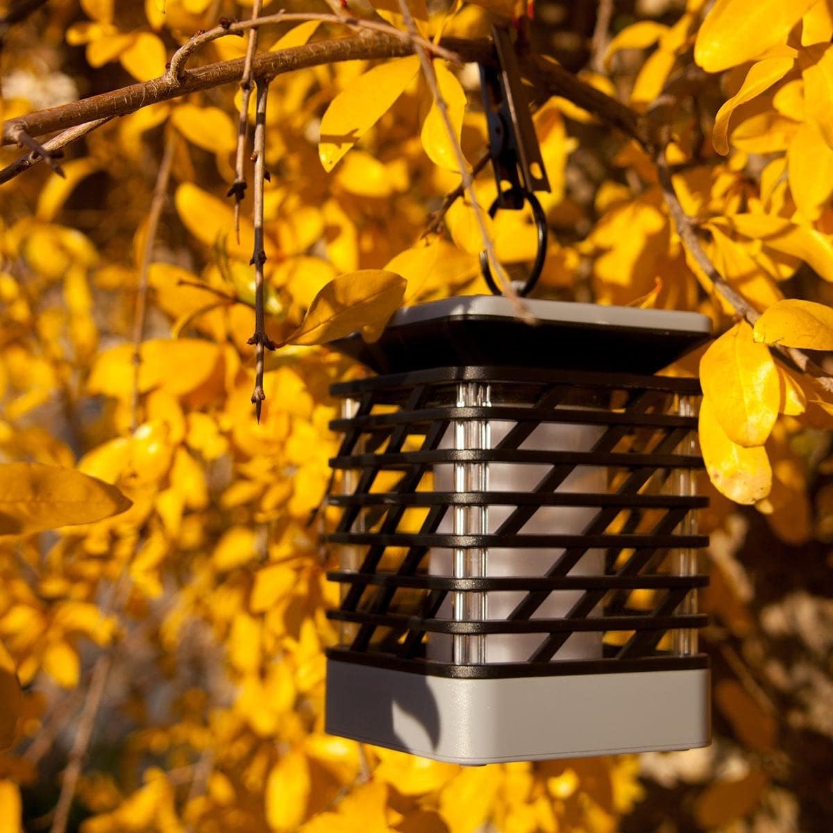 Eco-Friendly Solar Garden Light with Elegant Design