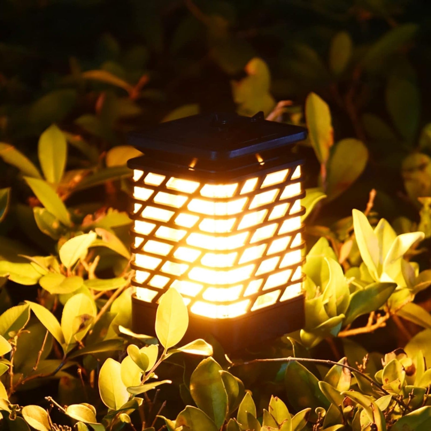 Eco-Friendly Solar Garden Light with Elegant Design
