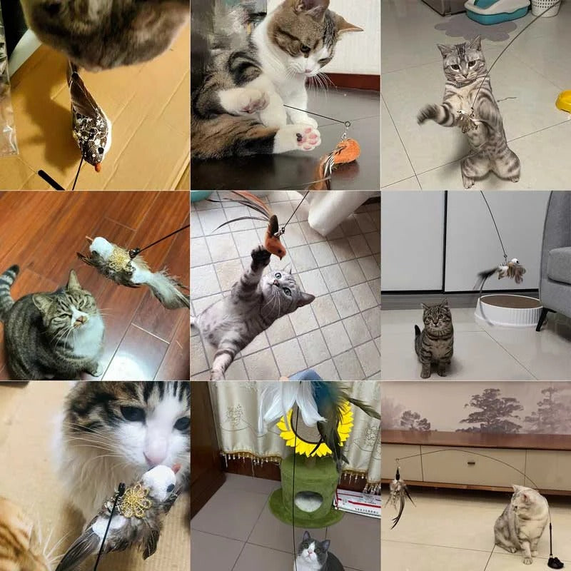 Engaging Cat Toy Set with Lifelike Bird Movement
