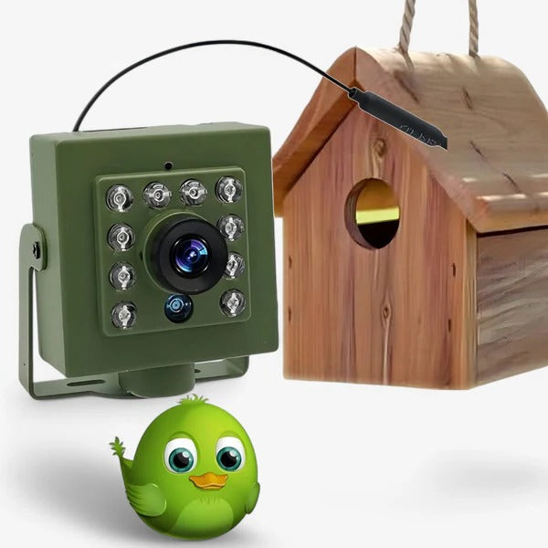 1080p WiFi Nature Watch Camera for Bird Enthusiasts