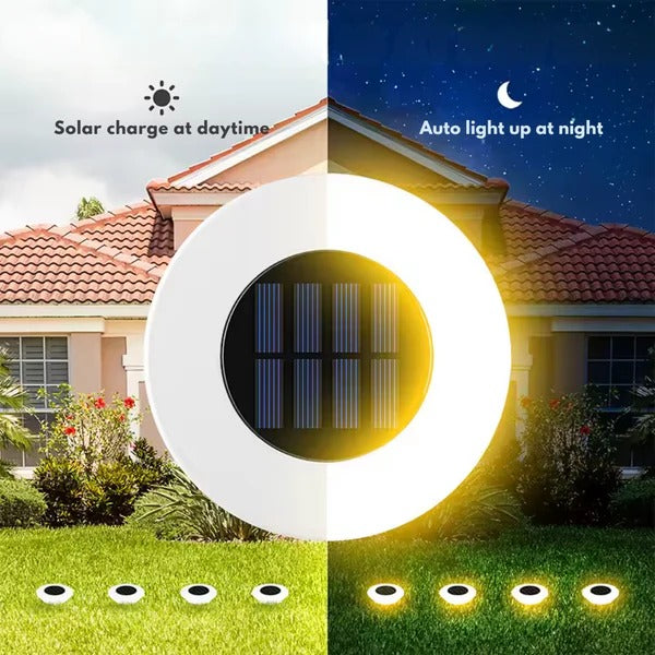 Weather-Resistant Solar Garden Lights for Year-Round Brilliance