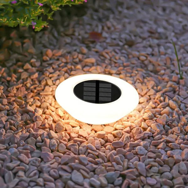 Weather-Resistant Solar Garden Lights for Year-Round Brilliance