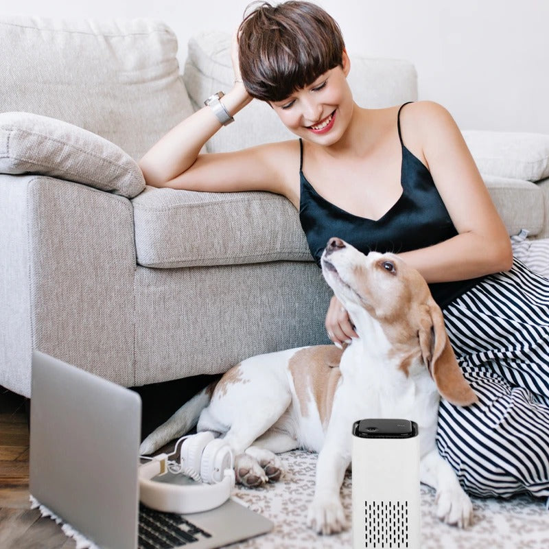 Compact Pet Air Cleaner for Fresh Indoor Air