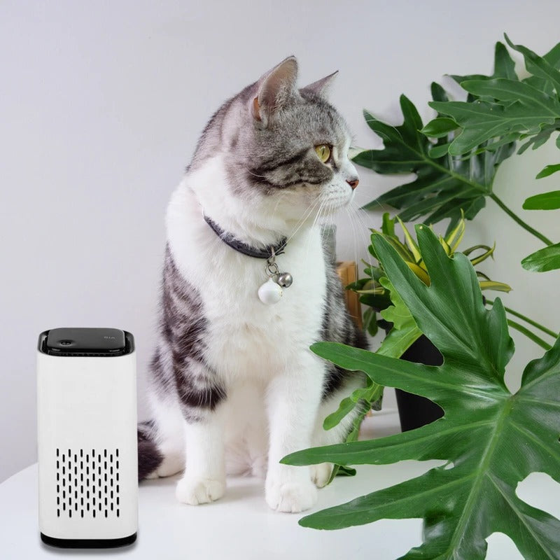 Compact Pet Air Cleaner for Fresh Indoor Air