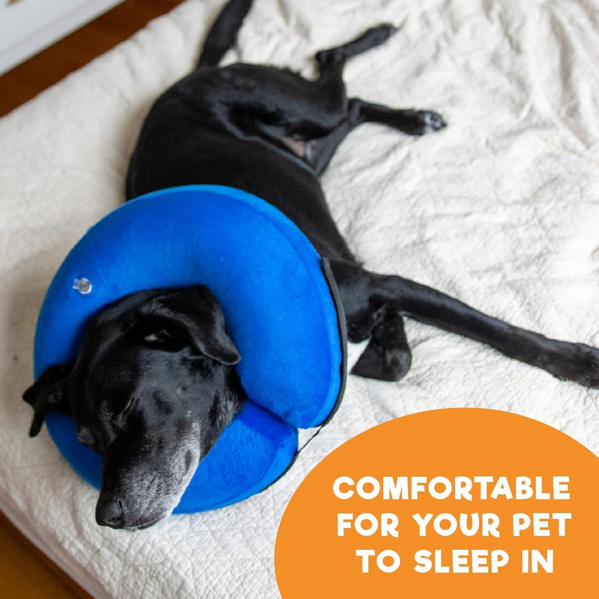 Comfort Plus Inflatable Recovery Collar for Pets