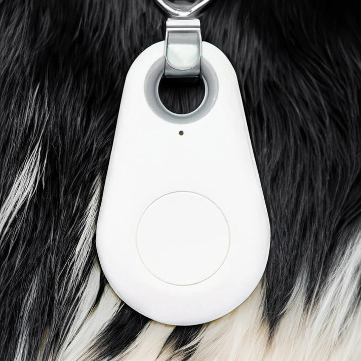 Smart Waterproof GPS Pet Locator for Dogs and Cats